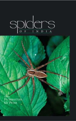 Orient Spiders of India